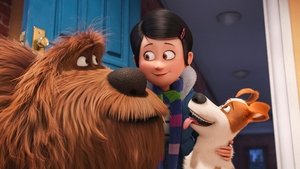 Singuri acasă (2016) – Dublat în Română