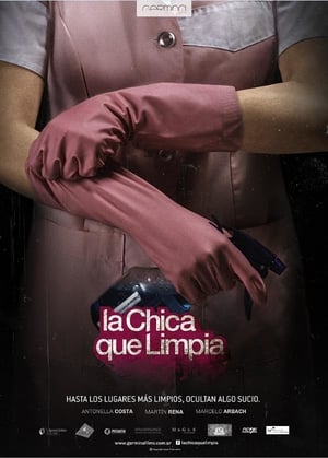 The Cleaning Lady poster