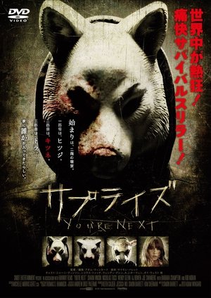 サプライズ (2013)