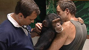 Monkey Business Episode 3