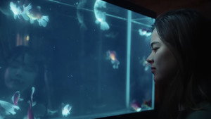 Lucky Fish 12