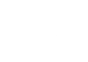 Alma Gêmea — Logos 1