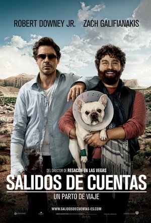 Watch Salidos de cuentas (2010) HD Movie Online Free