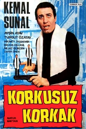 Poster Korkusuz Korkak (1979)