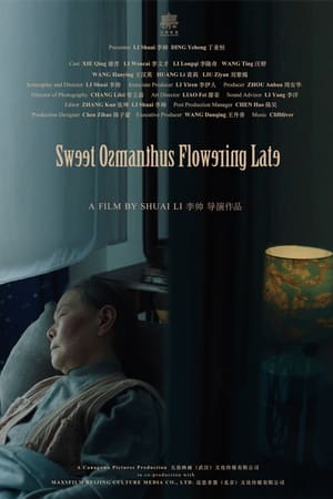 Sweet Osmanthus Flowering Late (2024)