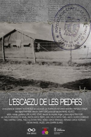 Póster oficial de la película L'Escaezu de les piedres