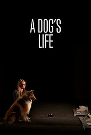 Poster A Dog's Life 2013