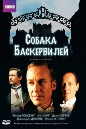 Poster Собака Баскервилей 2002