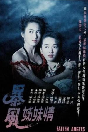 Poster 暴風姊妹情 1991