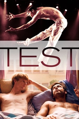 Poster Тест 2013