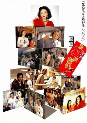 お墓がない! 1998