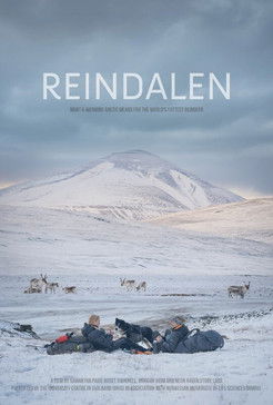 Reindalen