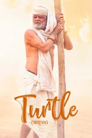 Poster Turtle 2018
