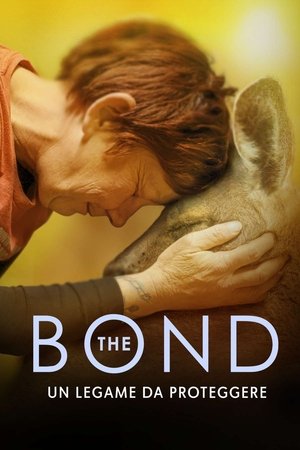 Image The bond - Un legame da proteggere