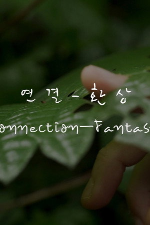 Connection&mdash;Fantasy (2026)