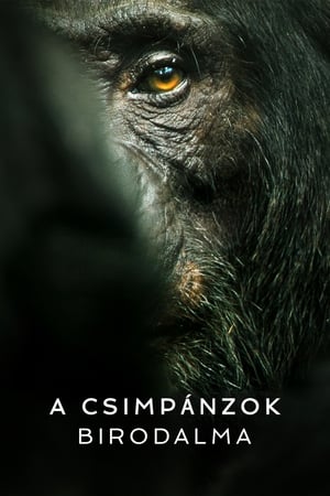 Image A csimpánzok birodalma