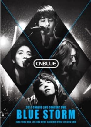 Poster CNBLUE - BLUE STORM 2011