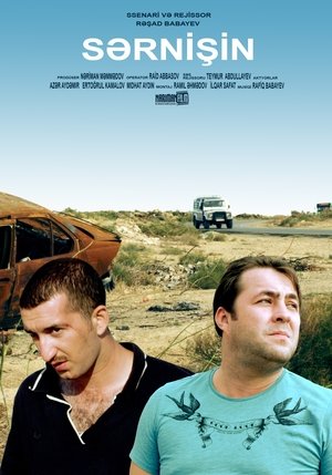 Poster Sərnişin 2014