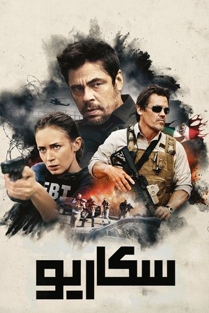 Image Sicario