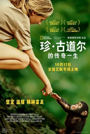 珍·古道尔的传奇一生 (2017)