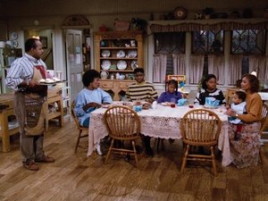 Family Matters Season 1 Episode 14