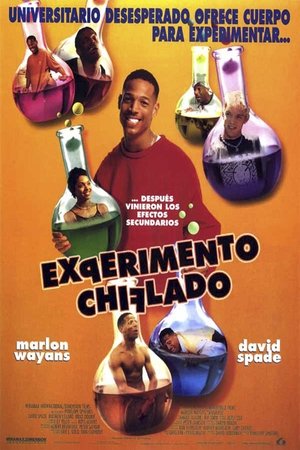 Experimento chiflado 1998