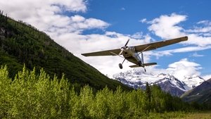 Edge of Alaska Bear Attack