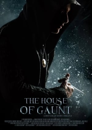 Poster The House of Gaunt (2021)