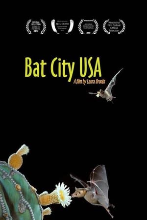 Image Bat City USA