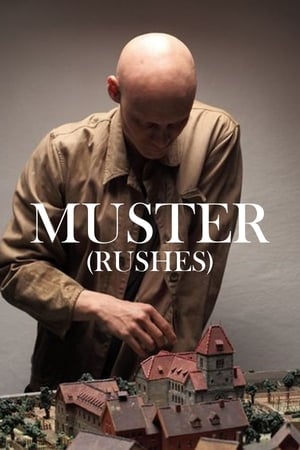 Poster Muster 2012