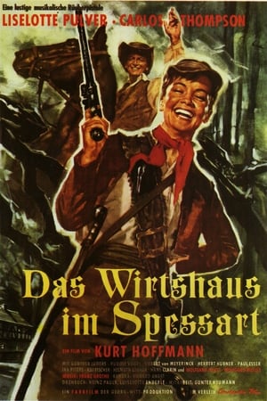 Das Wirtshaus im Spessart Film