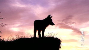 Return to the Wolves 10th Anniversary Special Season 1 : Episode 4 