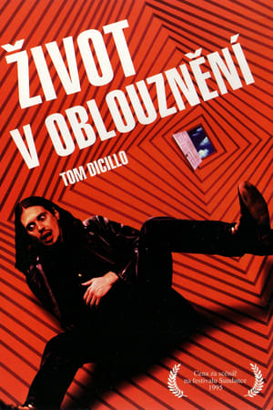 Život v oblouznění 1995