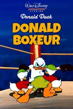 Image Donald Boxeur