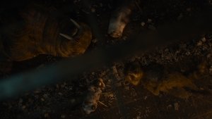 Images posters