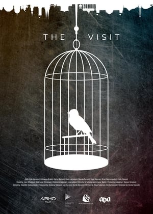 Poster The Visit (2020)