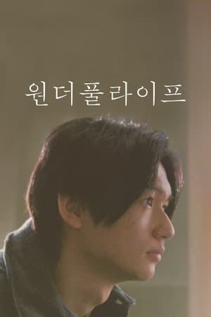 Poster 원더풀 라이프 1998