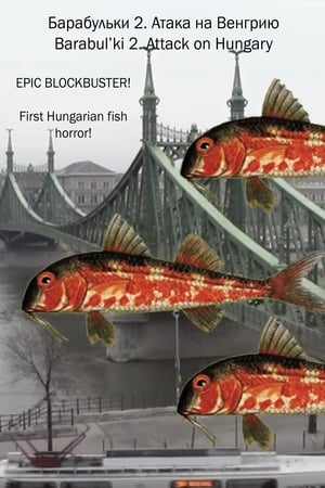 Barabul'ki 2. Attack on Hungary