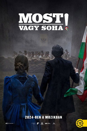Ver Most vagy soha! online en HD