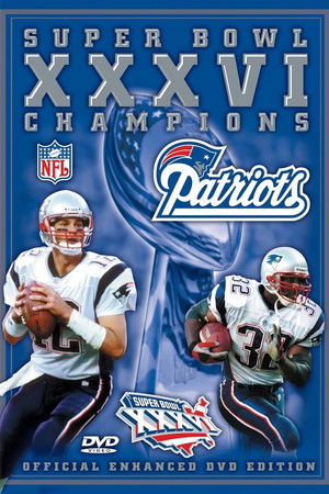 poster 2001 New England Patriots - Super Bowl XXXVI Champions