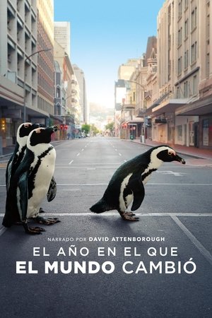Image El año en el que el mundo cambió