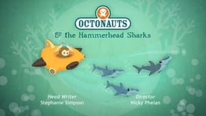 Image The Hammerhead Sharks