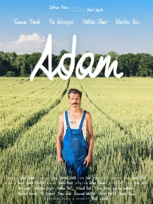 Image Adam