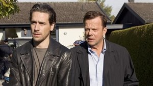 Wallander: 1×7
