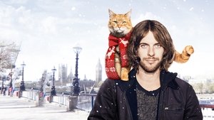 Un Gato Callejero Llamado Bob (2016) FULL HD 1080P ESPAÑOL/INGLES