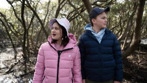 Marvellous Mangroves | StreamHub