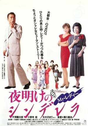 Poster Mr.レディー 夜明けのシンデレラ 1990