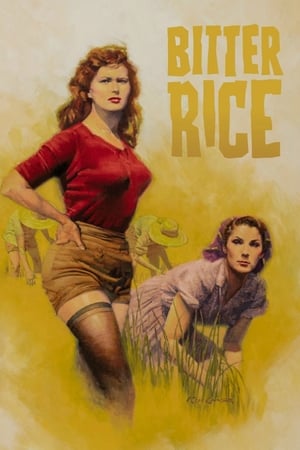 Bitter Rice poster