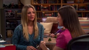 The Big Bang Theory 5 x Episodio 3