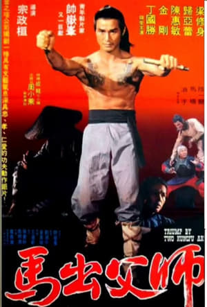 Poster Triumph Of Two Kung-Fu Arts (1977)